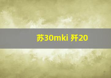 苏30mki 歼20